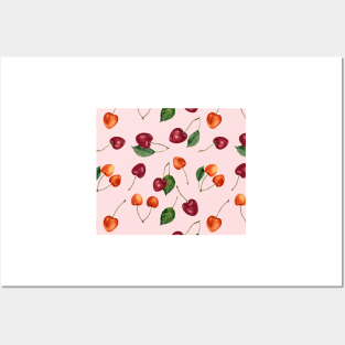 Blush cherries Posters and Art